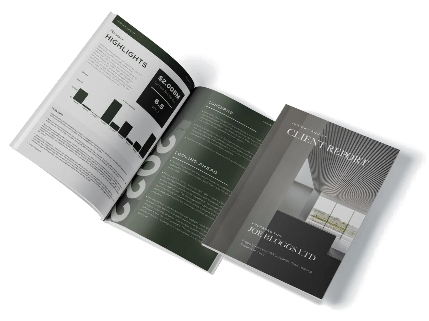 Insight Equity owner statement and end of year investor report